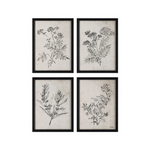 "Basset" Framed Art Set by Ksenia Sizaya ARTWORK - framed print Renwil