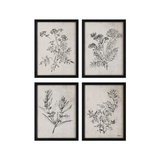 "Basset" Framed Art Set by Ksenia Sizaya ARTWORK - framed print Renwil