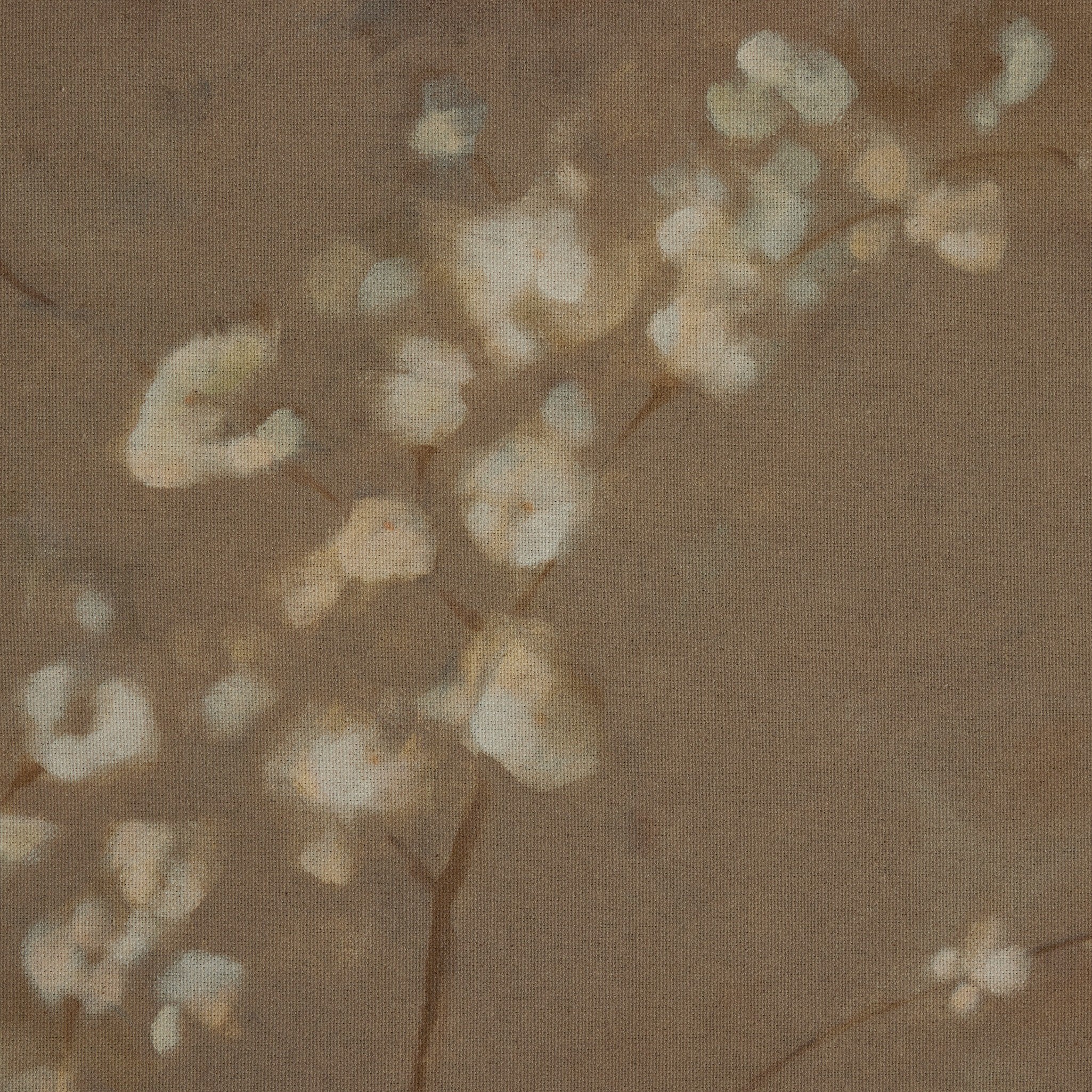 "Sakura" by Jess Engle -Small ARTWORK - framed print Four Hands