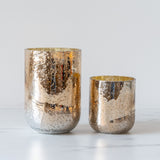 Metallic Finish Candle - Balsam & Cedar CHRISTMAS 2024 Illume (DYA)