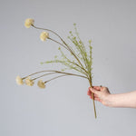 Faux Melaleuca Cream Stem faux stem Abigail Ahern (Aesthetic Movement)