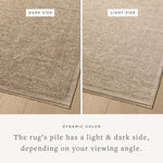 Loloi Newman Taupe / Bone Rug Rugs Loloi