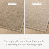 Loloi Newman Taupe / Bone Rug Rugs Loloi