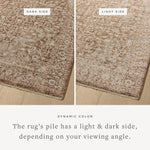 Loloi Newman Bark / Natural Rug Rugs Loloi