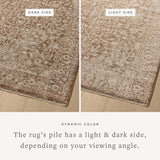 Loloi Newman Bark / Natural Rug Rugs Loloi