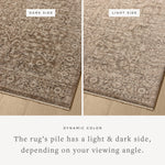 Loloi Newman Dark Taupe / Natural Rug Rugs Loloi