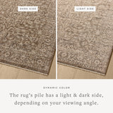 Loloi Newman Dark Taupe / Natural Rug Rugs Loloi