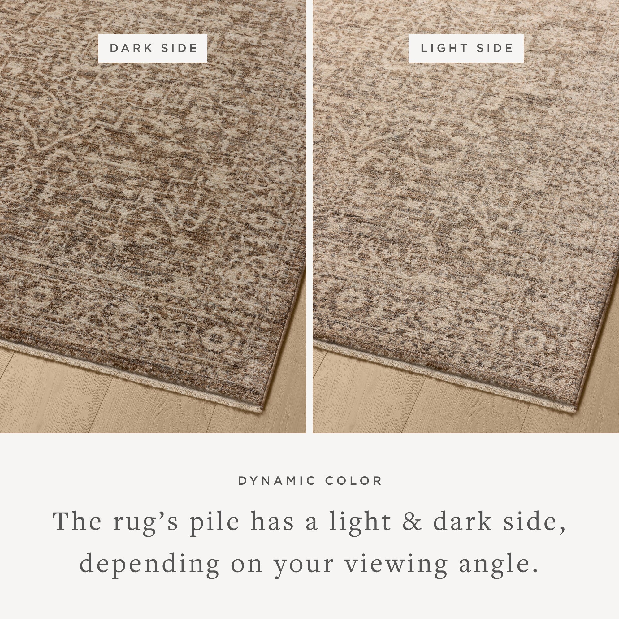 Loloi Newman Dark Taupe / Natural Rug Rugs Loloi