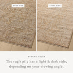 Loloi Newman Wheat / Natural Rug Rugs Loloi