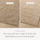 Loloi Newman Wheat / Natural Rug Rugs Loloi