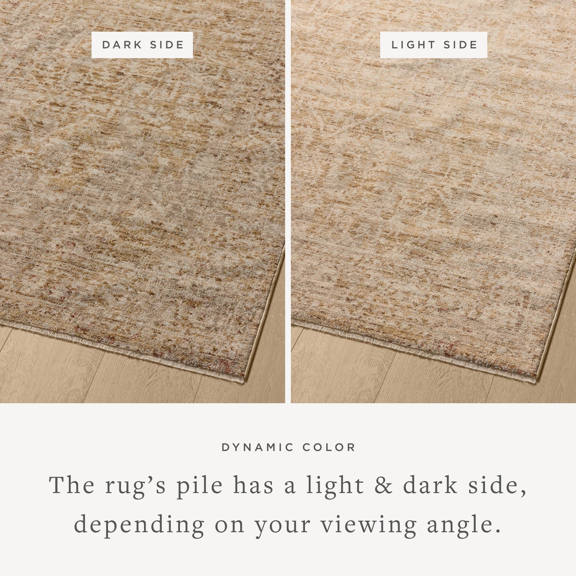 Loloi Newman Wheat / Natural Rug Rugs Loloi