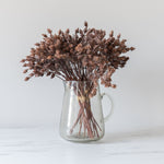 Ibina Pitcher pitcher Indaba