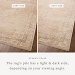 Chris Loves Julia x Loloi Palma Spice / Natural Rug RUGS - synthetic Loloi