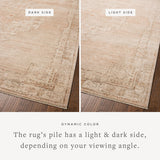 Chris Loves Julia x Loloi Palma Spice / Natural Rug RUGS - synthetic Loloi