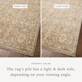 Chris Loves Julia x Loloi Palma Lagoon / Natural Rug RUGS - synthetic Loloi
