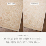 Chris Loves Julia x Loloi Palma Natural / Spice Rug RUGS - synthetic Loloi