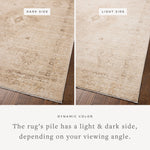 Chris Loves Julia x Loloi Palma Natural / Smoke Rug RUGS - synthetic Loloi