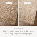 Chris Loves Julia x Loloi Palma Brown / Earth Rug RUGS - synthetic Loloi