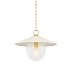 Ressi Pendant by Mitzi LIGHTING - Pendant Hudson Valley Lighting 20"