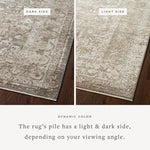 FLOOR MODEL - Loloi Sonnet Grey / Sage Rug - 11'6" x 15' RUGS - floor model Loloi
