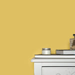 Farrow & Ball Ciara Yellow No. 73 - Archive Collection PAINT - Farrow & Ball Farrow & Ball