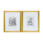 Coconino Framed Art ART - Framed Art Surya