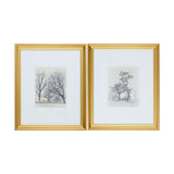 Coconino Framed Art ART - Framed Art Surya