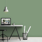 Farrow & Ball Pea Green No. 33 - Archive Collection PAINT - Farrow & Ball Farrow & Ball