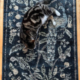 Rifle Paper Co. x Loloi Laurel Peacock Garden Navy Rug 0-RUGS-patterned Loloi