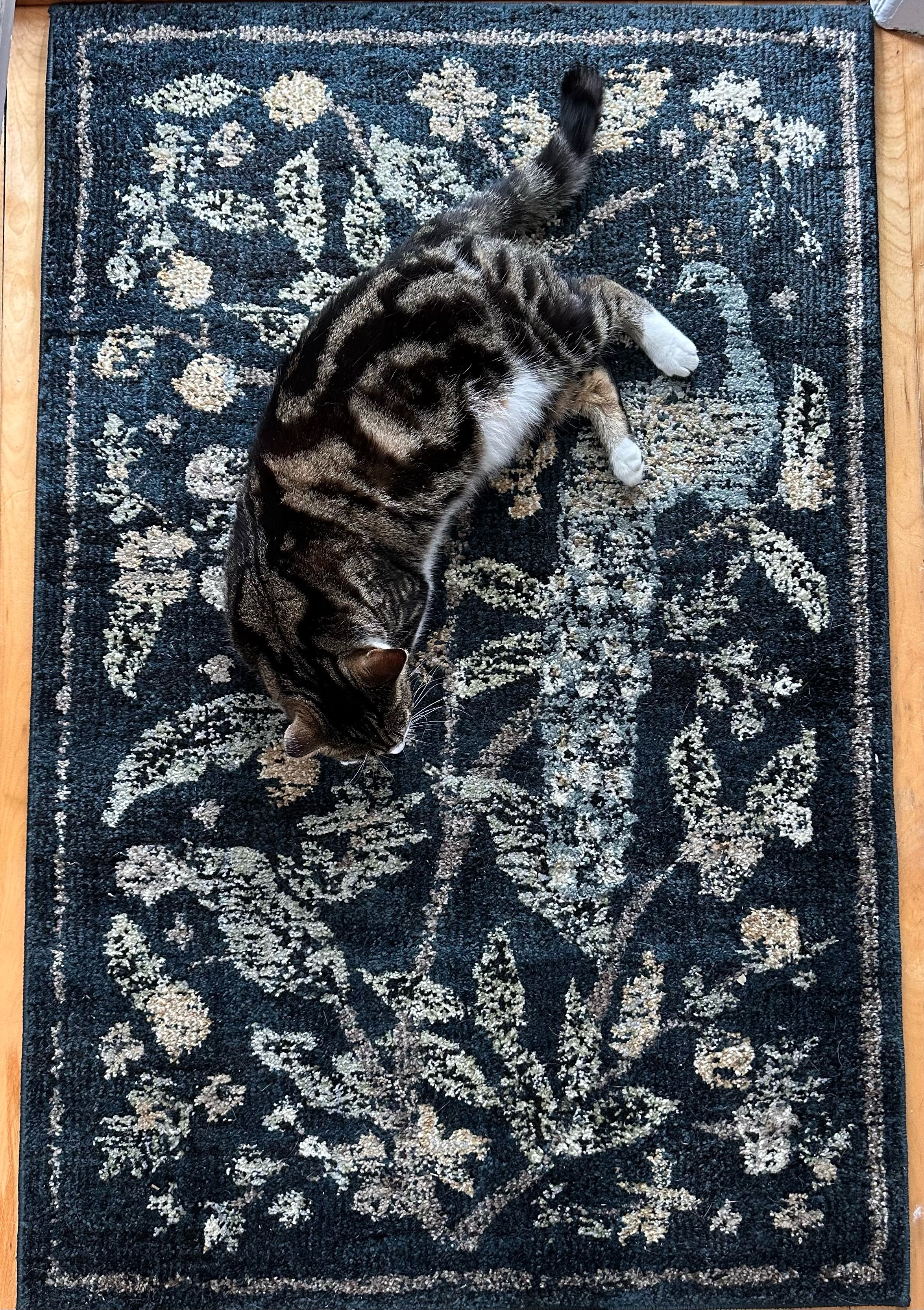 Rifle Paper Co. x Loloi Laurel Peacock Garden Navy Rug 0-RUGS-patterned Loloi