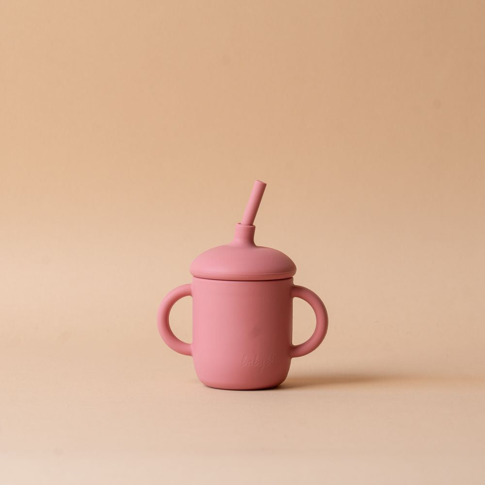 Sippy Cup with Straw FINNBIRD - cup Baby Bliss (Faire) Pink