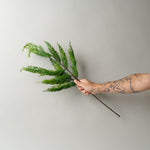 Faux Cedar Branch CHRISTMAS 2025 Tri W Imports