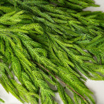 Faux Dripping Pine Garland CHRISTMAS 2025 Tri W Imports