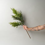 Faux White Cedar Spray CHRISTMAS 2025 Tri W Imports