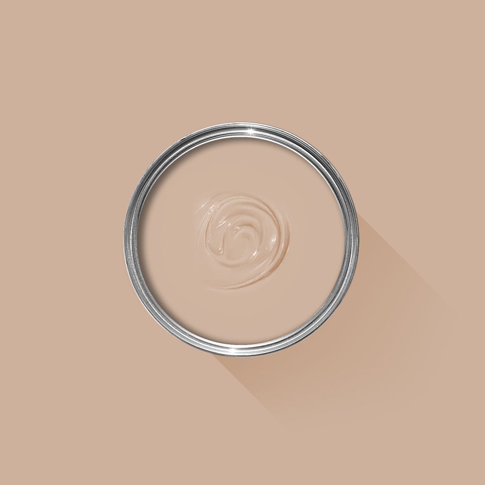 Farrow & Ball Templeton Pink No. 303 PAINT - Farrow & Ball Farrow & Ball