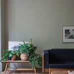 Farrow & Ball Ash Grey No. W9 PAINT - Farrow & Ball Farrow & Ball