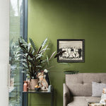 Farrow & Ball Bancha No. 298 PAINT - Farrow & Ball Farrow & Ball
