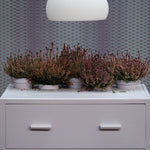 Farrow & Ball Calluna No. 270 PAINT - Farrow & Ball Farrow & Ball