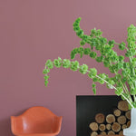 Farrow & Ball Crimson Red No. W93 - Archive Collection PAINT - Farrow & Ball Farrow & Ball