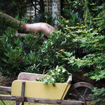 Farrow & Ball Dayroom Yellow No. 233 PAINT - Farrow & Ball Farrow & Ball