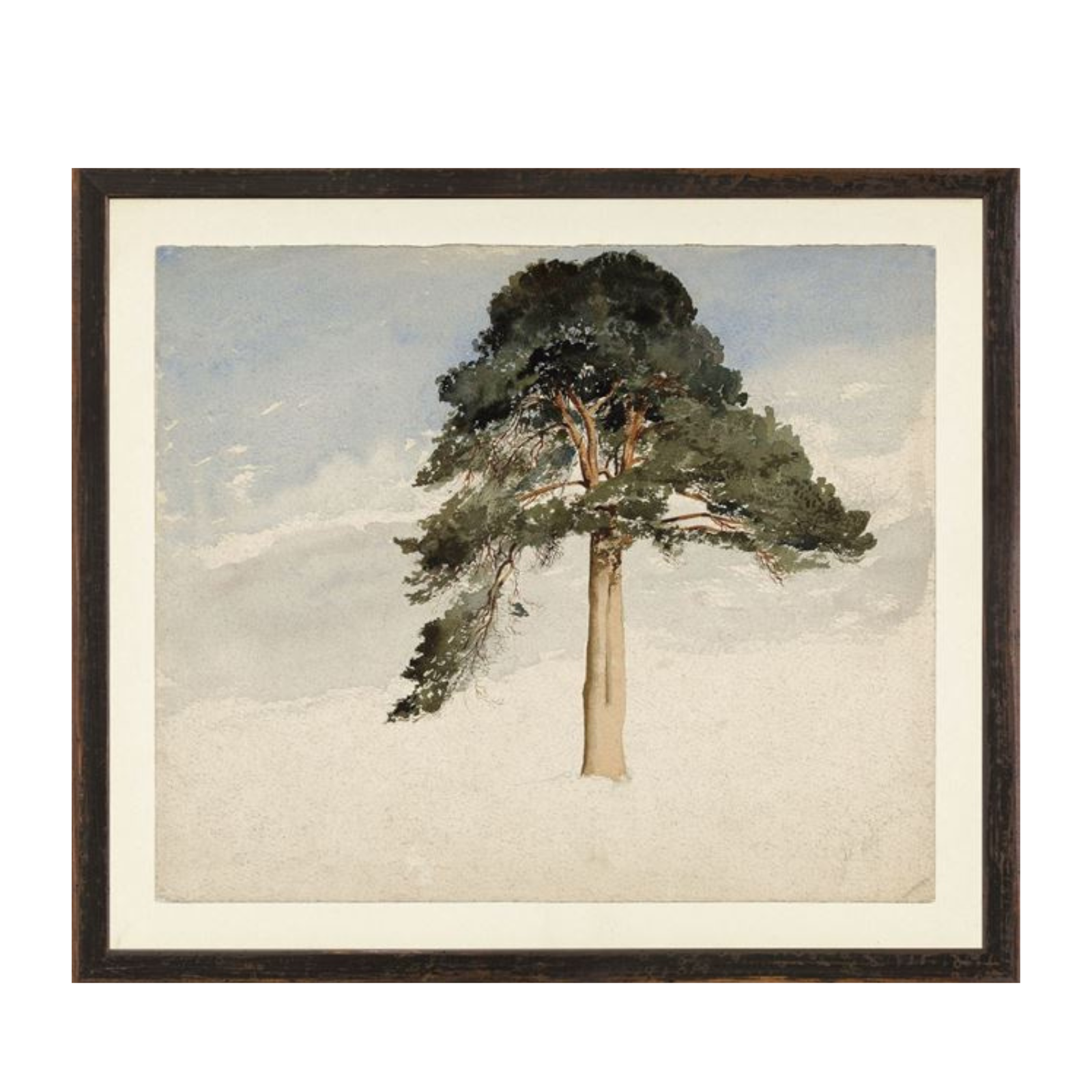 "Watercolour Fir Tree" Framed Art Print ARTWORK - framed print Celadon Art