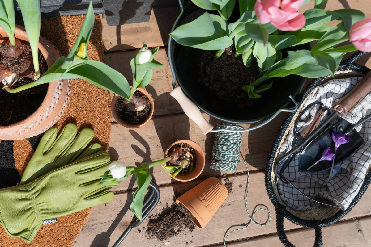 Spring Gardening