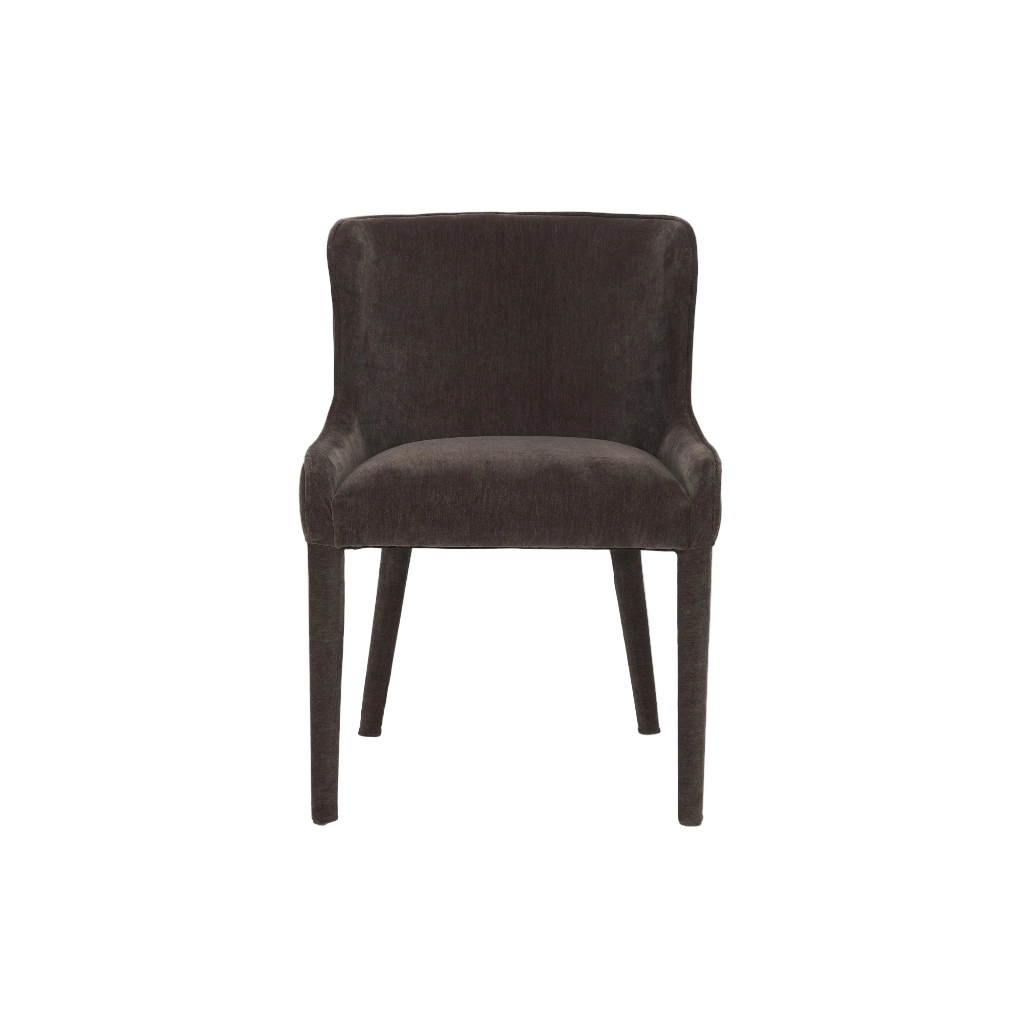 Norlan Dining Chair - set of 2 FURNITURE - dining chairs Mercana