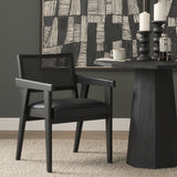 Rei Dining Chair - Set of 2