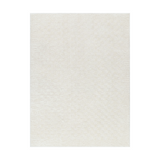 Floyd Ivory Border Checkered Rug