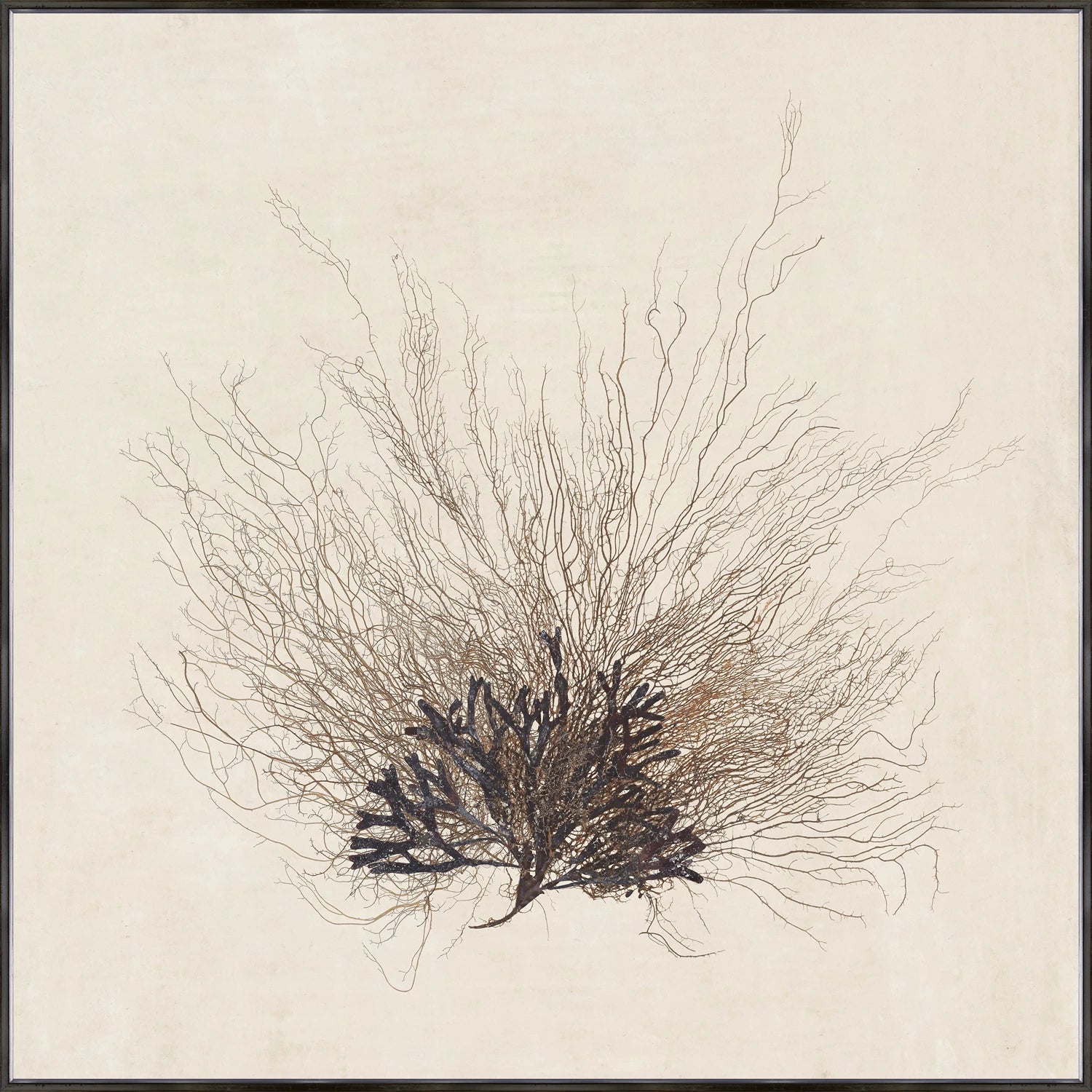 "Coral Sea Fan" Framed Art Print ARTWORK - framed print Celadon Art