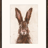 "Brown Hare" Framed Art Print