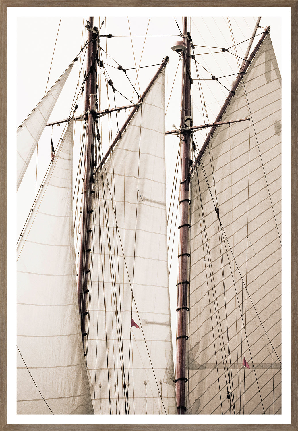 "Sails" Framed Art Print ARTWORK - framed print Celadon Art Large Oak