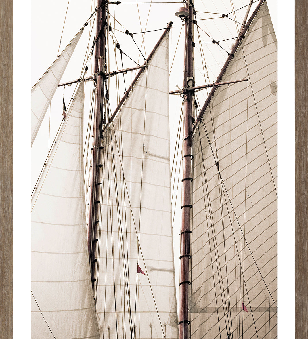"Sails" Framed Art Print ARTWORK - framed print Celadon Art Small Oak