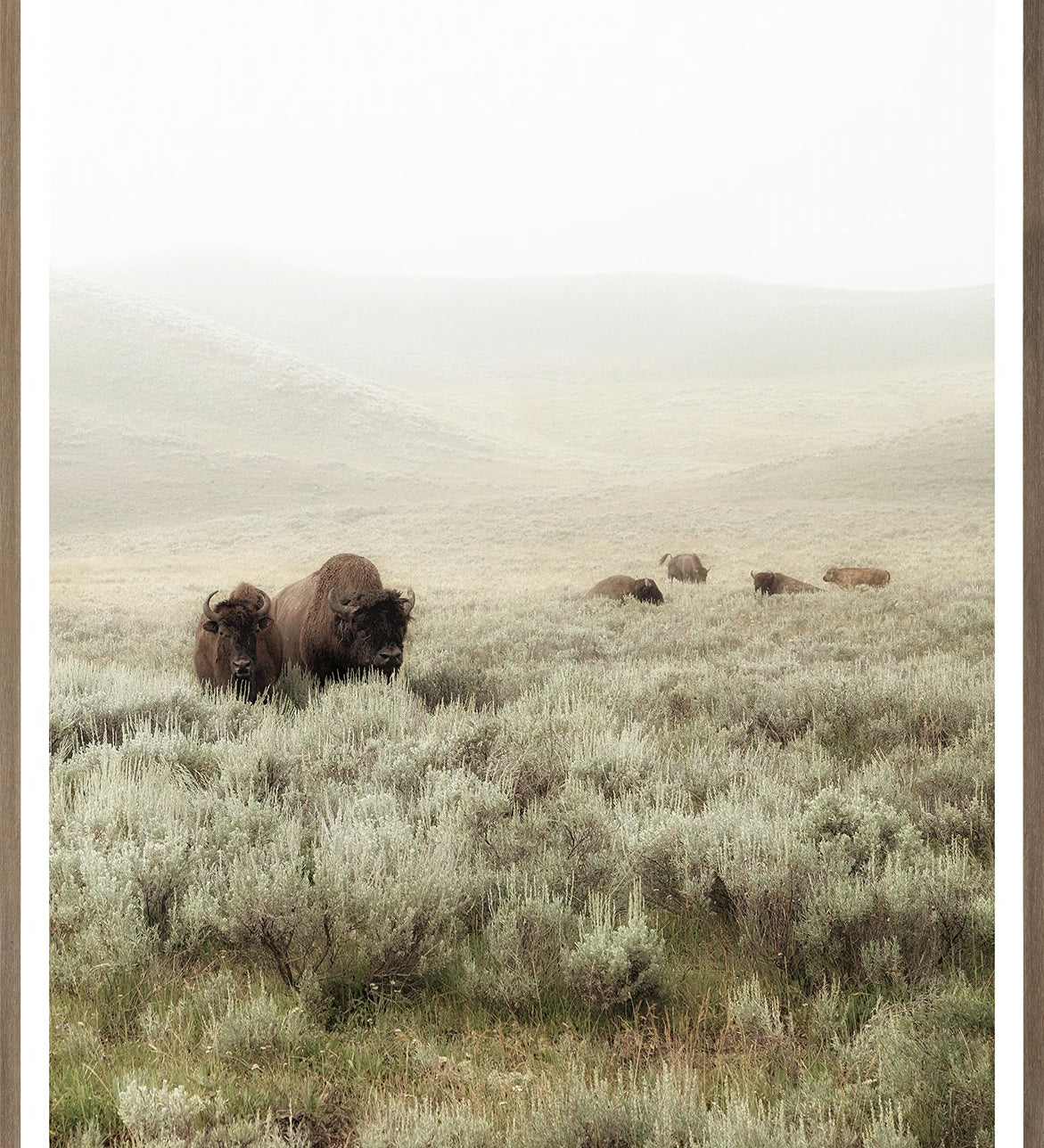 "Grazing Hills I" Framed Art Print ARTWORK - framed print Celadon Art